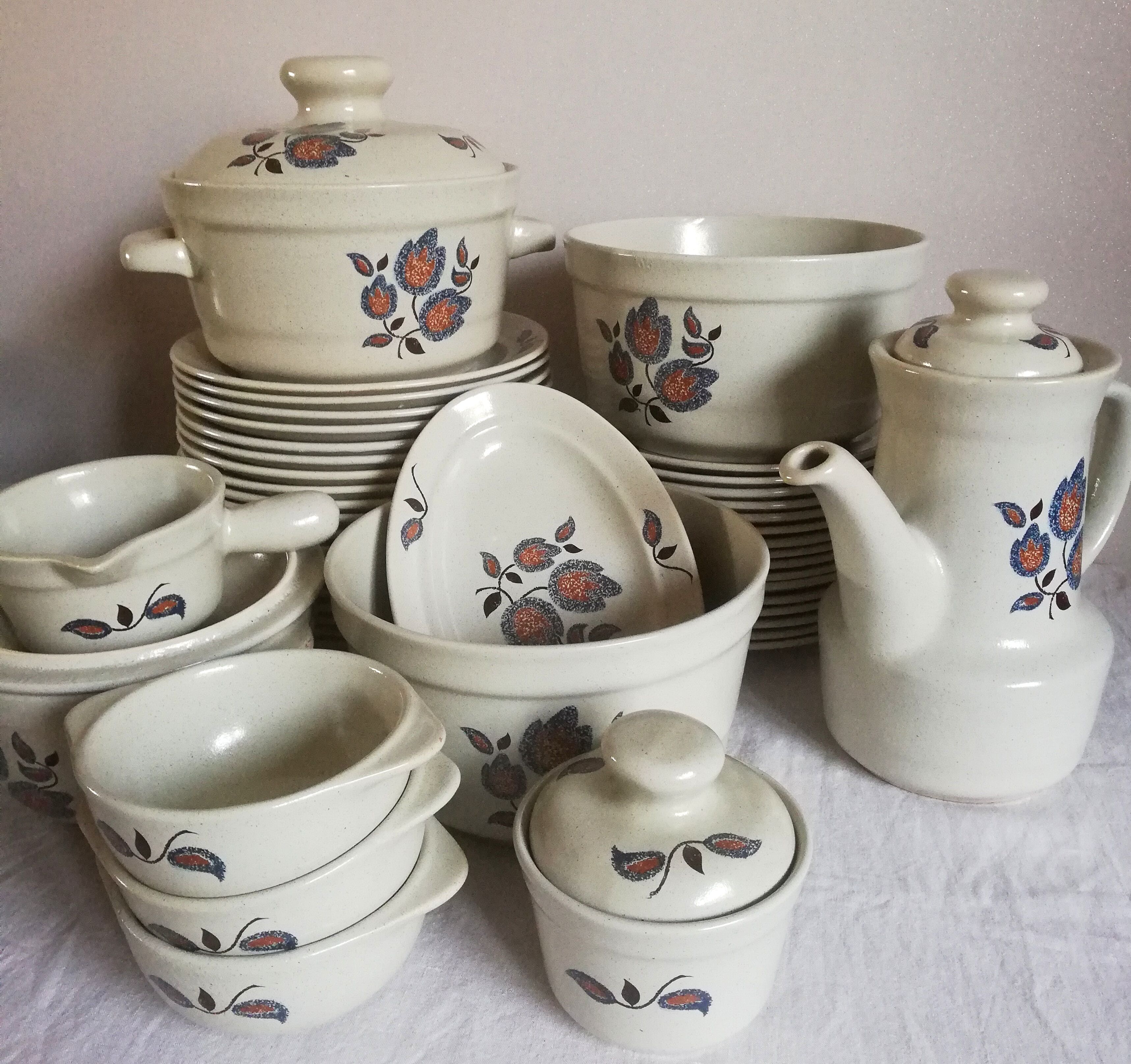 Serving 20 flat plates Sologne de Saint Amand