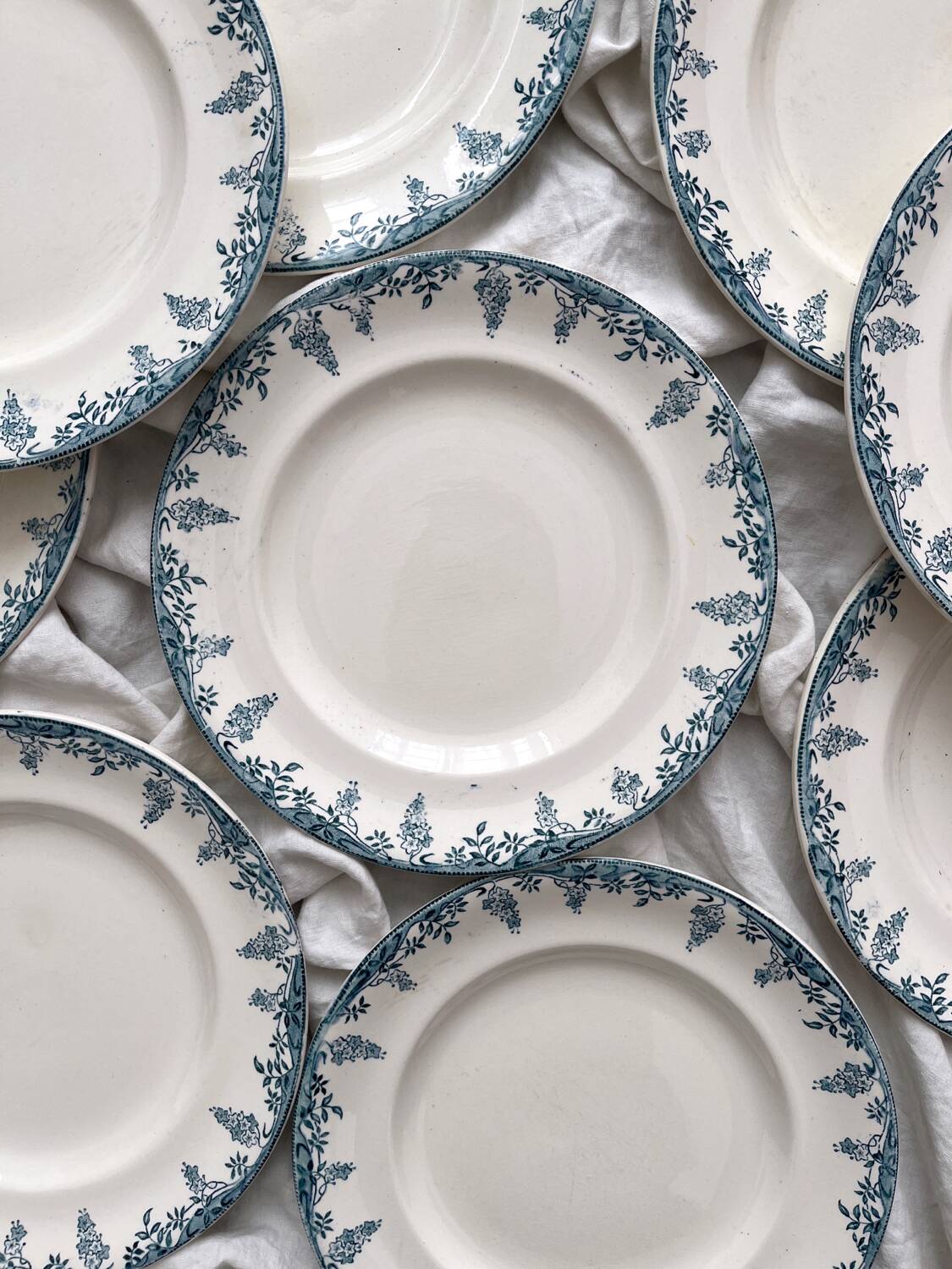 12 ironstone dinner plates “Florence” Longwy