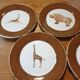 Set 5 assiettes à dessert animaux sauvages d'Afrique