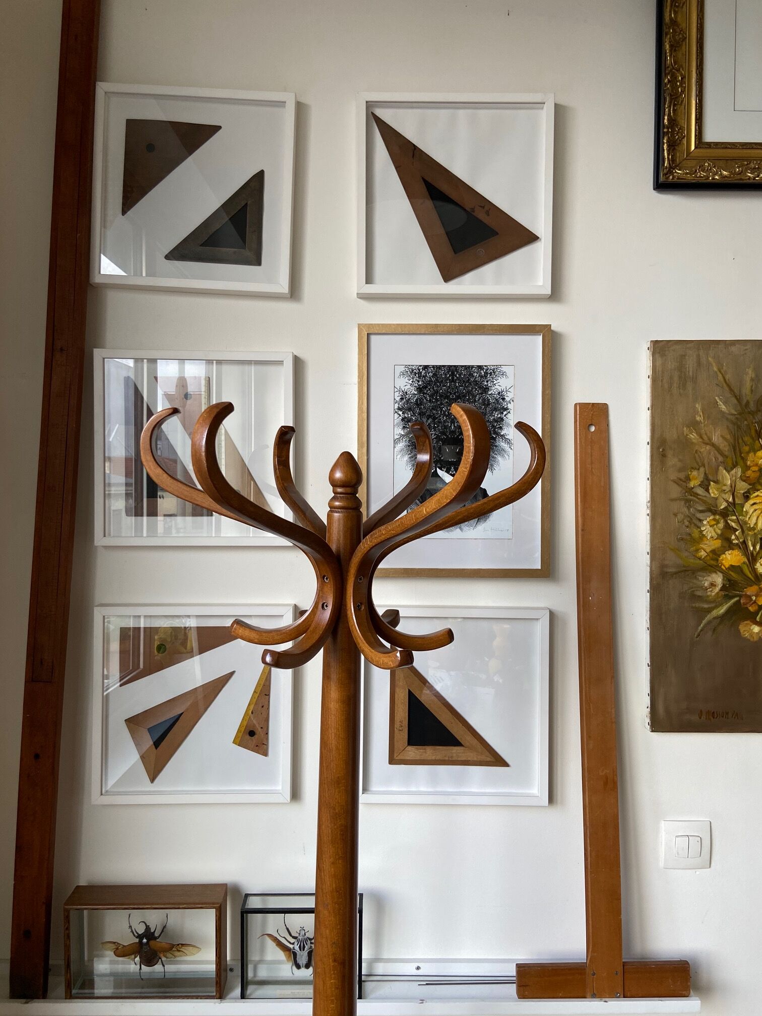 Light wooden parrot coat holder 6 patères