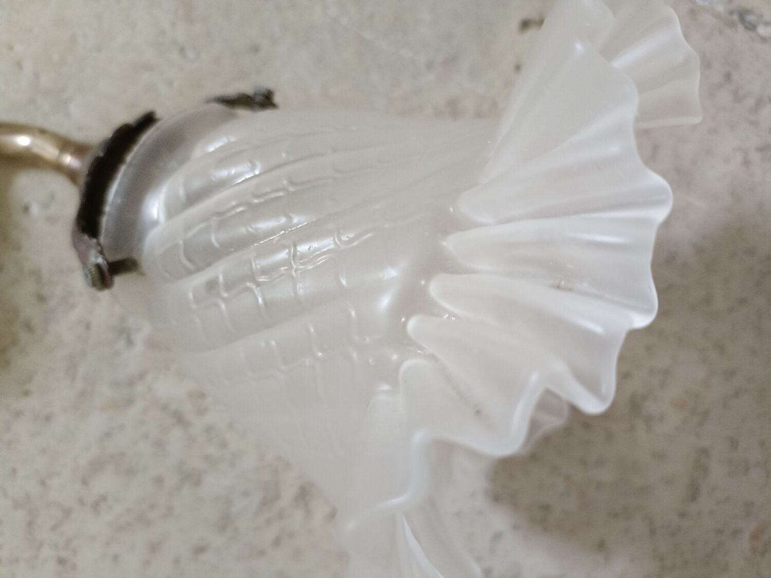 Art Nouveau tulip wall lamp