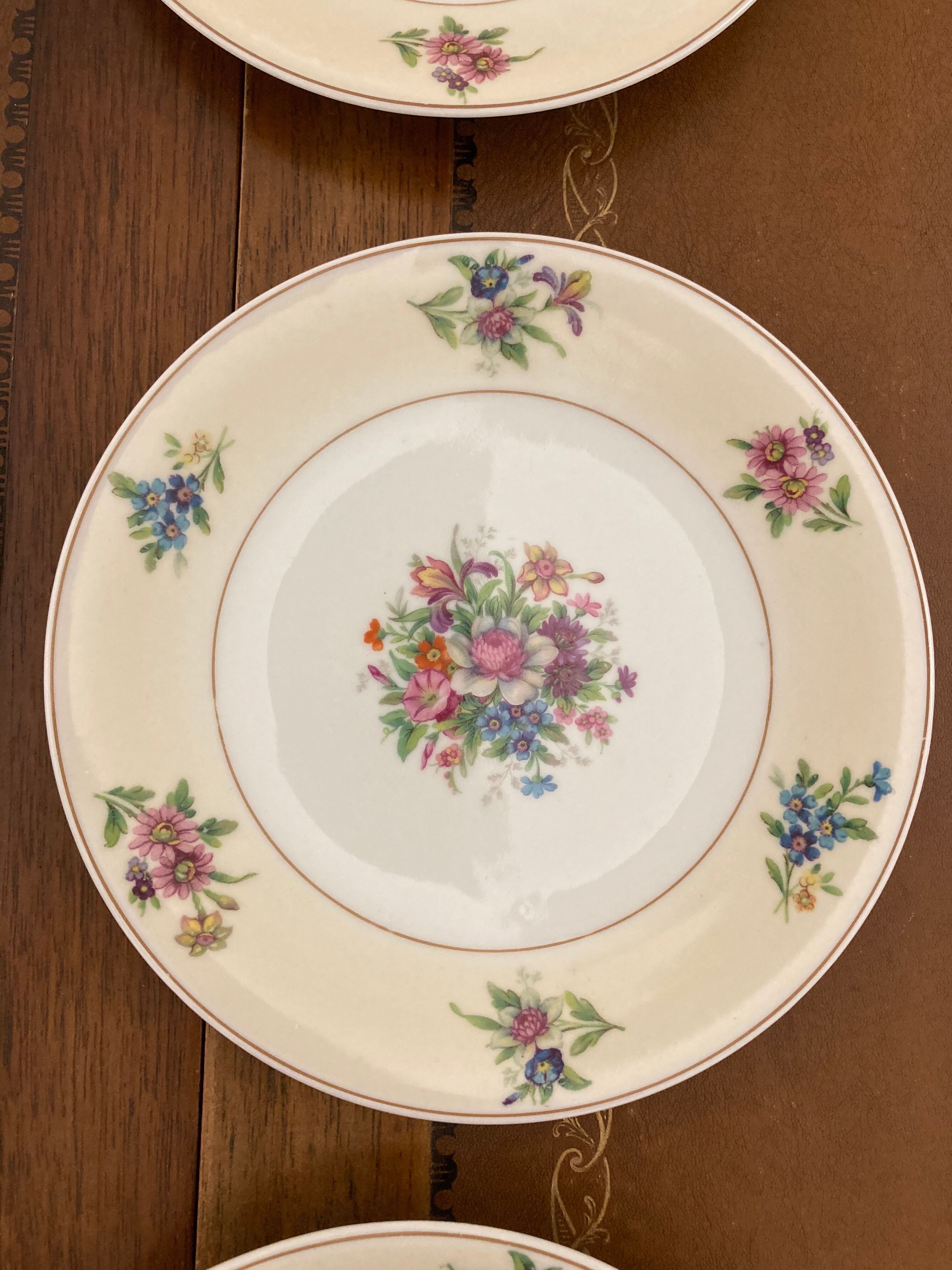 Dessert service 12 plates and a platter of Limoges