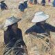 Tableau HSP "Paysage de moisson du Vietnam" signé ManoJ 1984