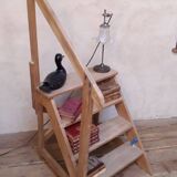Library and workshop stepladder, 19th century