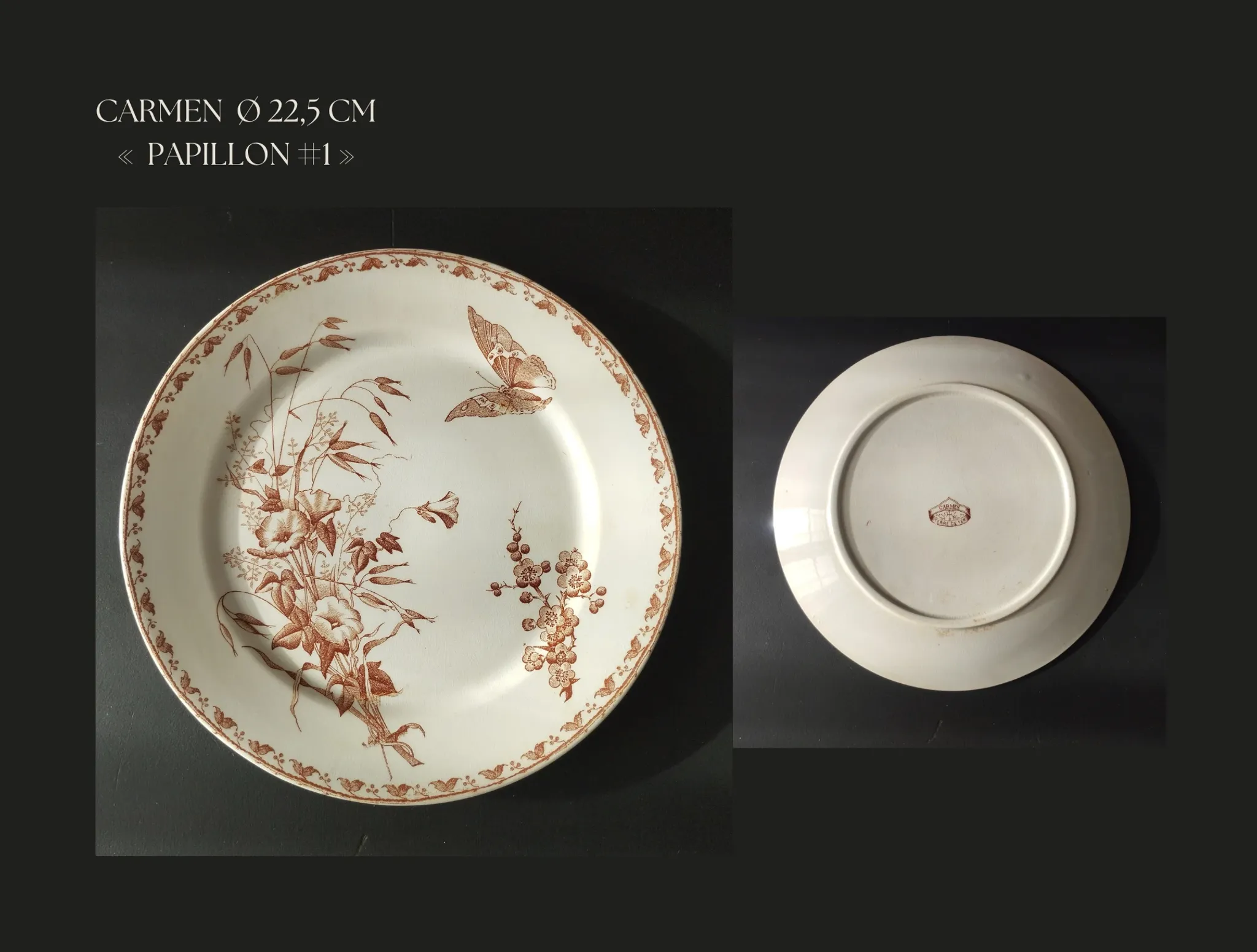 7 flat plates in earthenware from Sarreguemines U&C "Carmen"