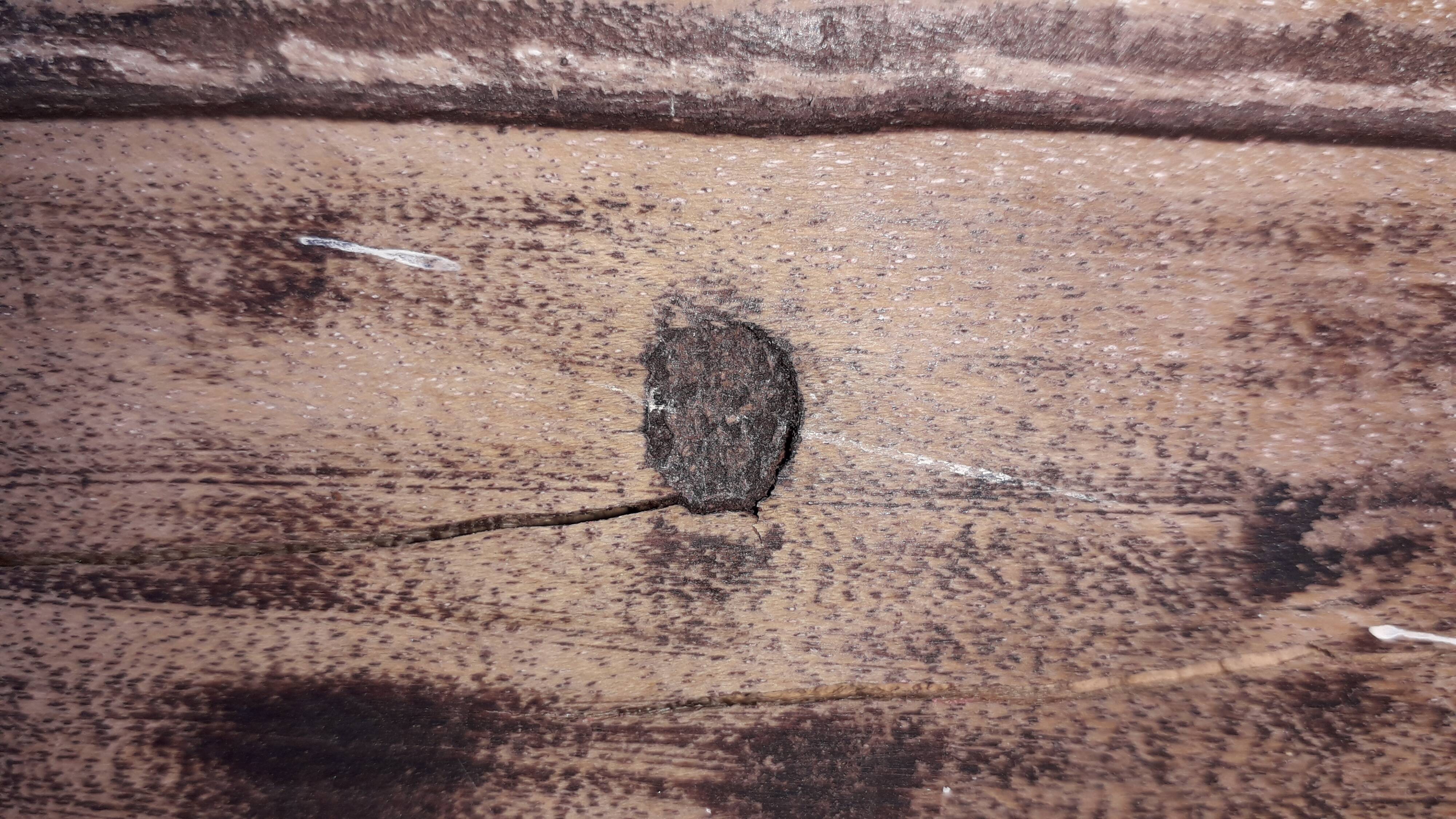 Vosges pediment in carved wood, oak, 19th