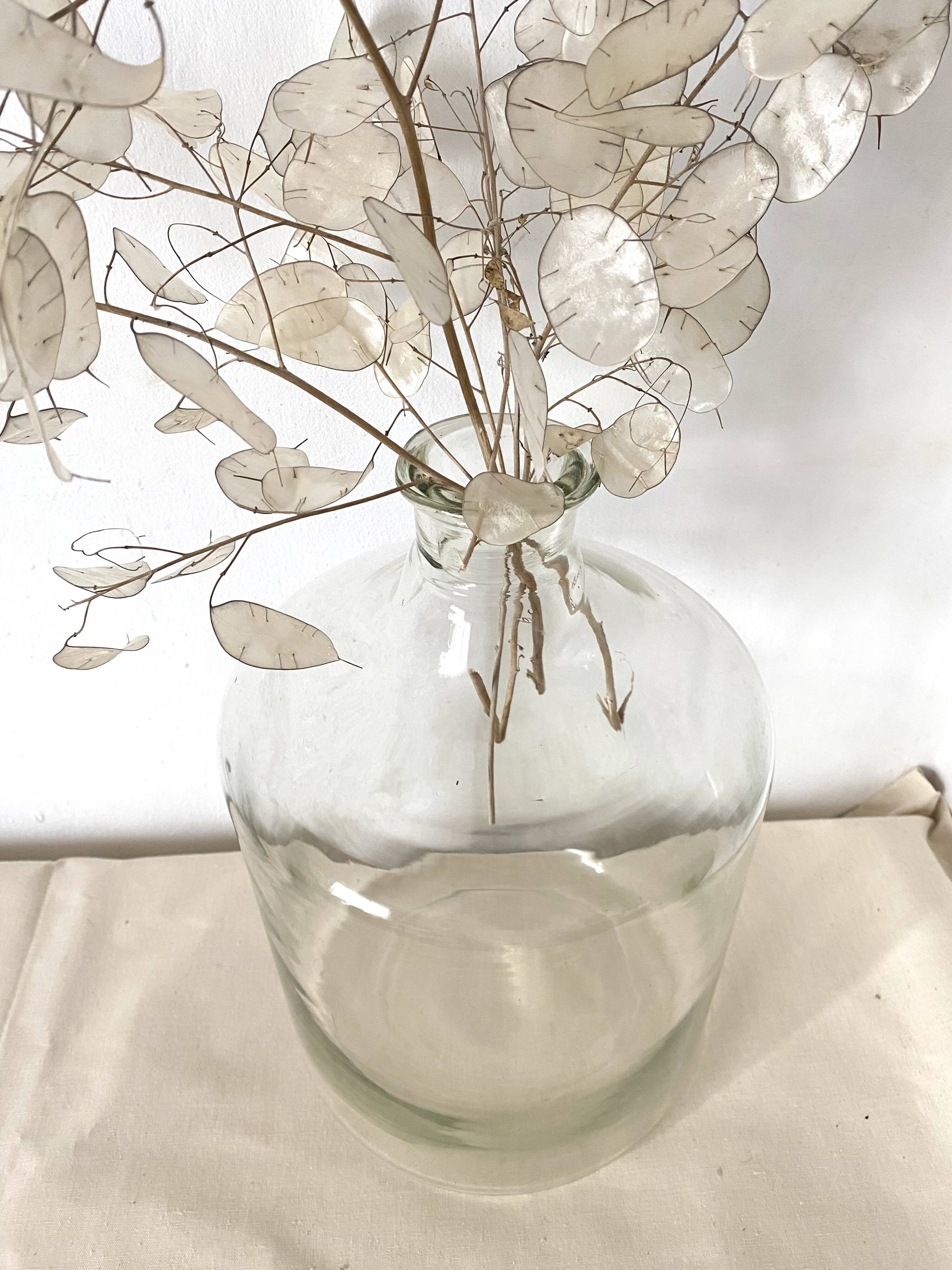 Large glass carboy 36 cm