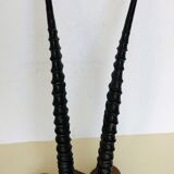 Gazelle horns on wooden support