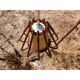 Suspension vintage en rotin