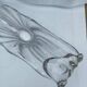 Glass fruit bowl