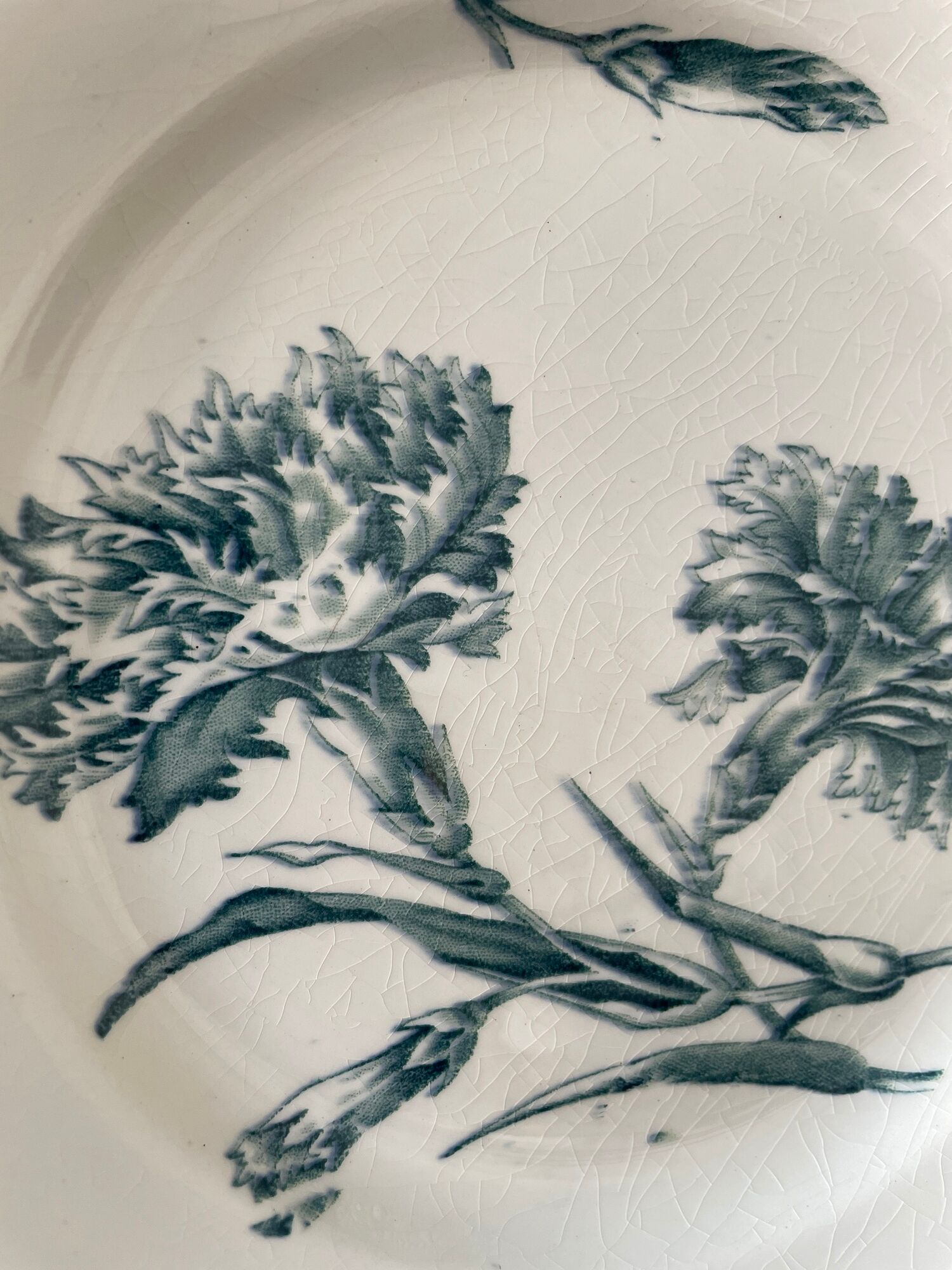 Set of 8 plates Terre de Fer 1900 K.G Lunéville, model "Carnation"