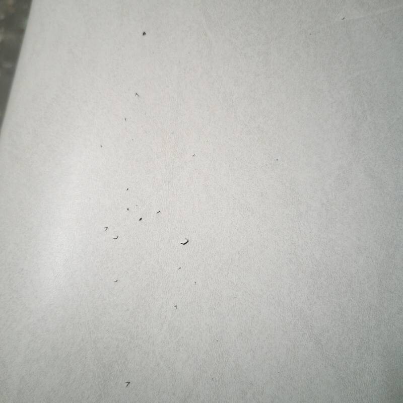 Pair of vintage teak and skai chairs