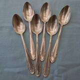 Set of 6 teaspoons in silver metal