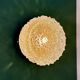 Vintage moulded glass wall or ceiling light globe