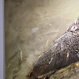 Grand Tableau toucan - Georges Rossi