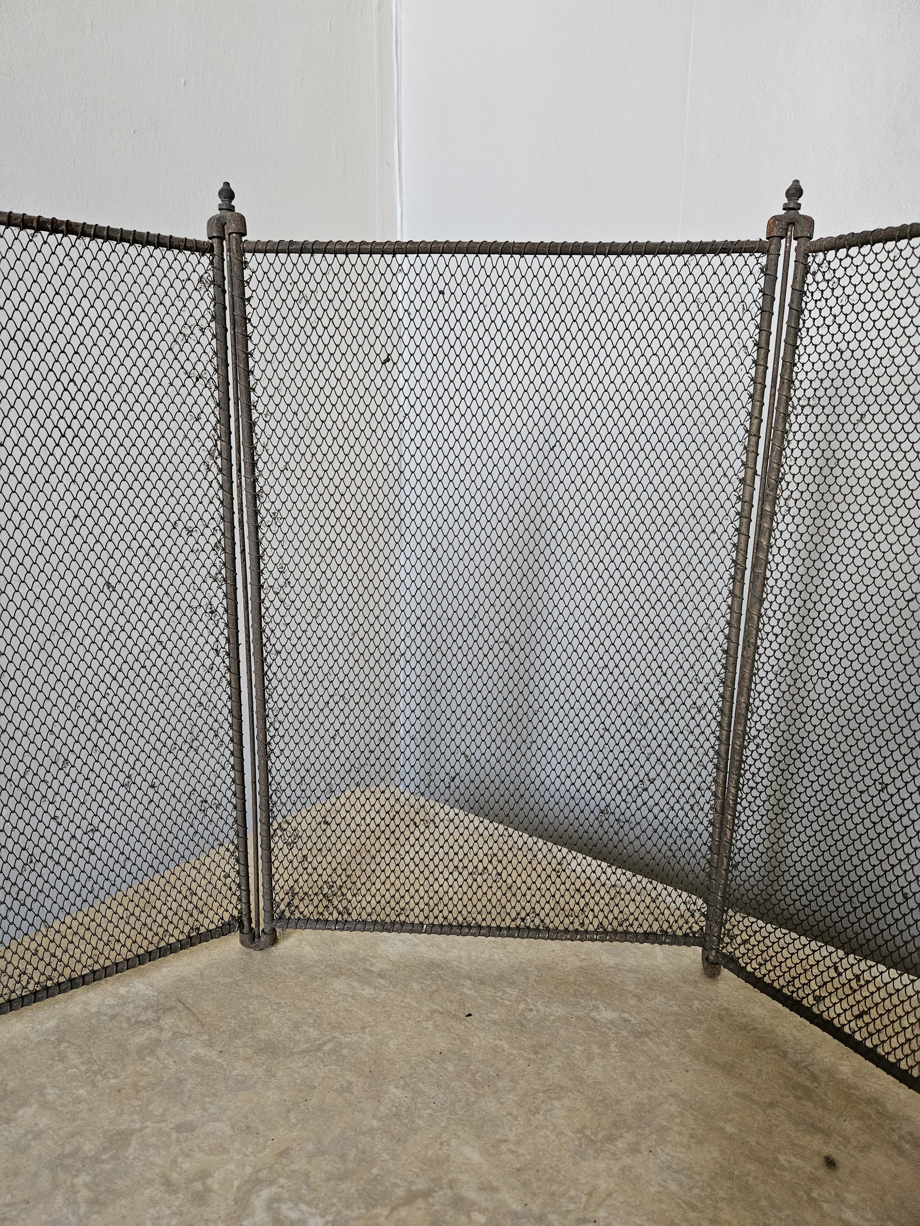 Chimney fire screen