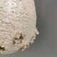 Ceramic hanging lamp in creamy white color that almost looks like a corral