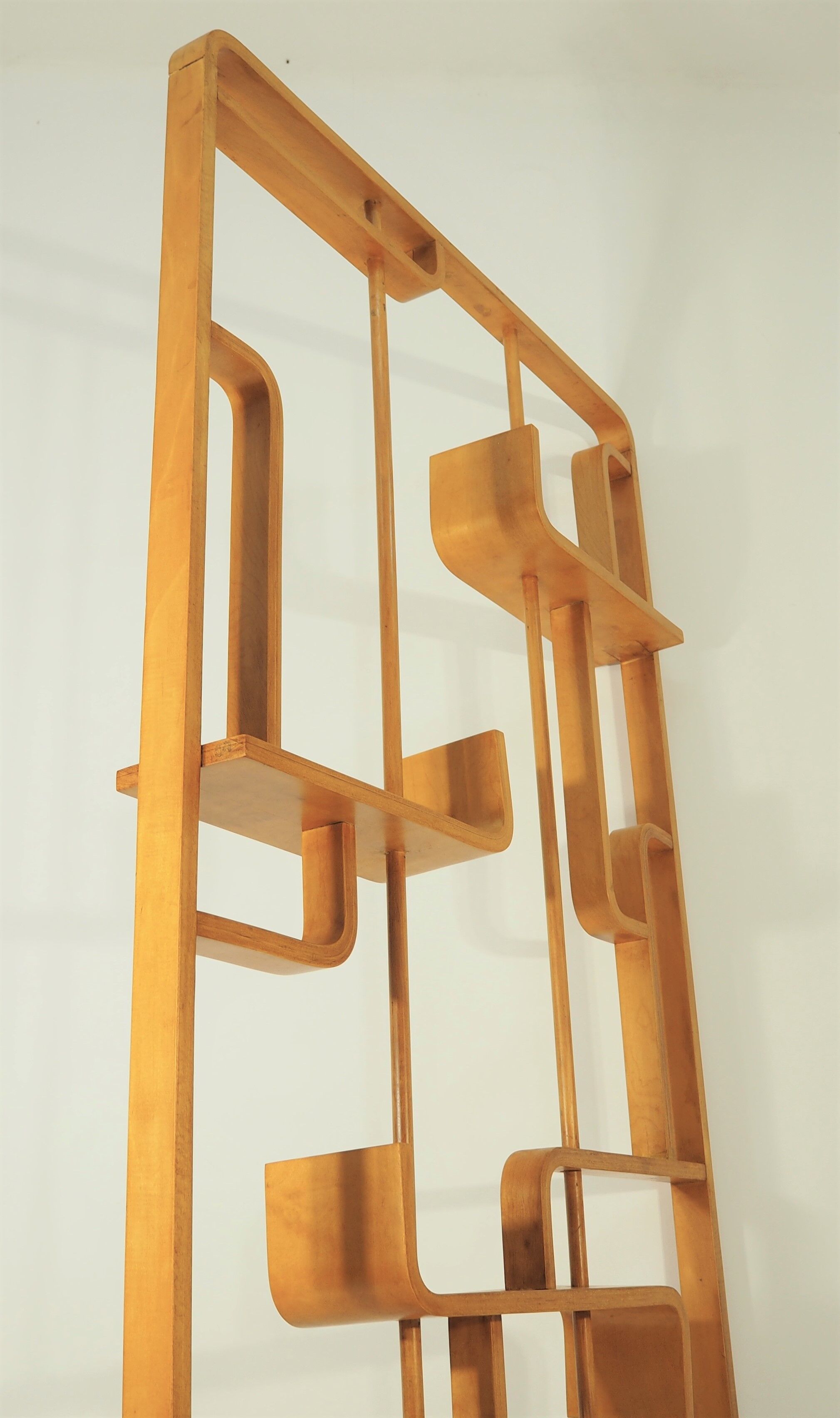 Room Divider by Ludvik Volak for Drevopodnik Holesov, 1960s