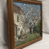 Painting signed Oil on canvas dimension: height: 45 cm - width -54 cm -