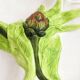 Dish dabbling artichokes