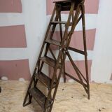Manufrance stepladder