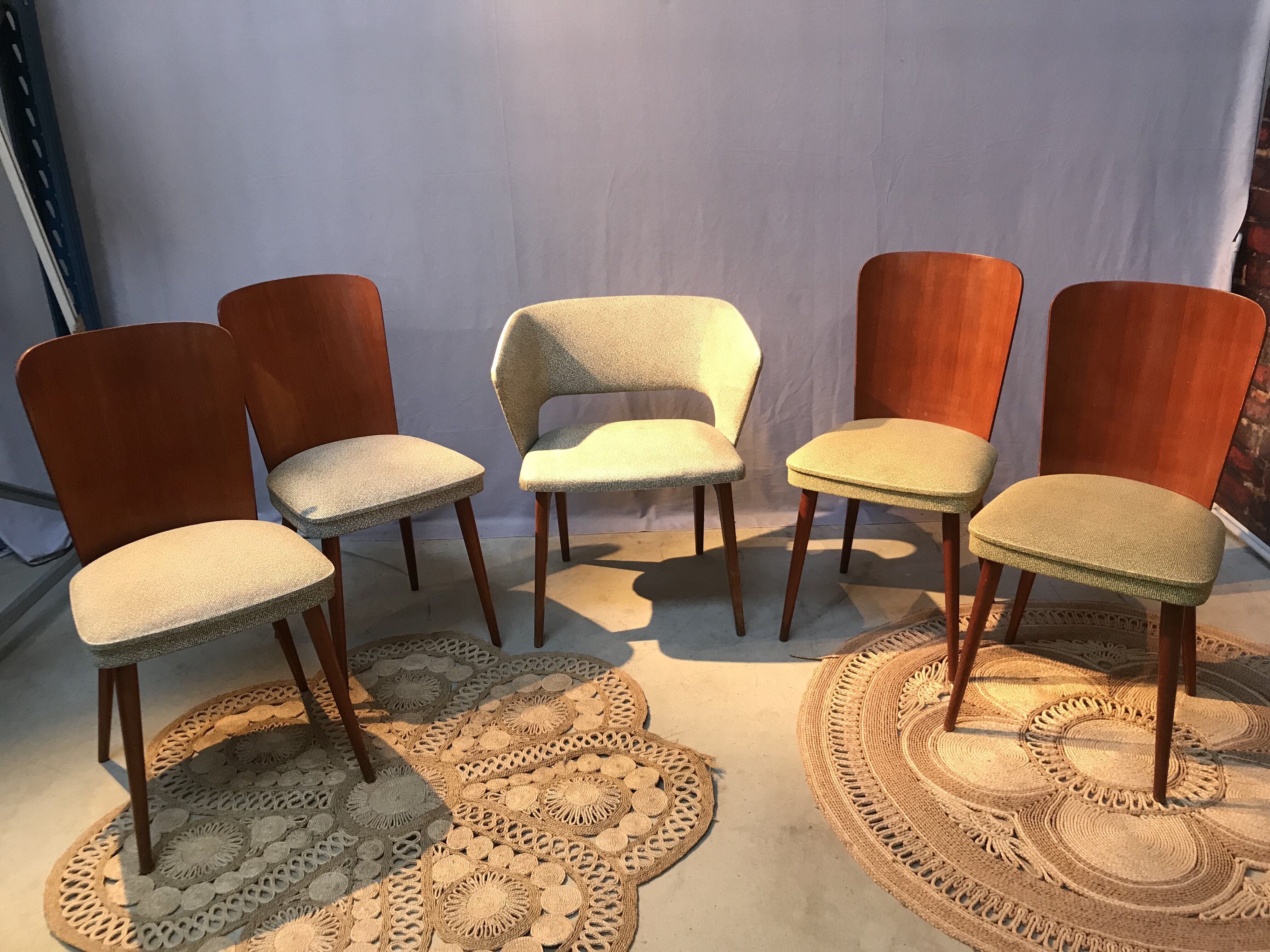 Set of 4 chairs and 1 armchair design 50s