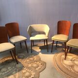 Set of 4 chairs and 1 armchair design 50s