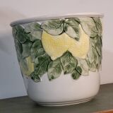 Lemon plant pot