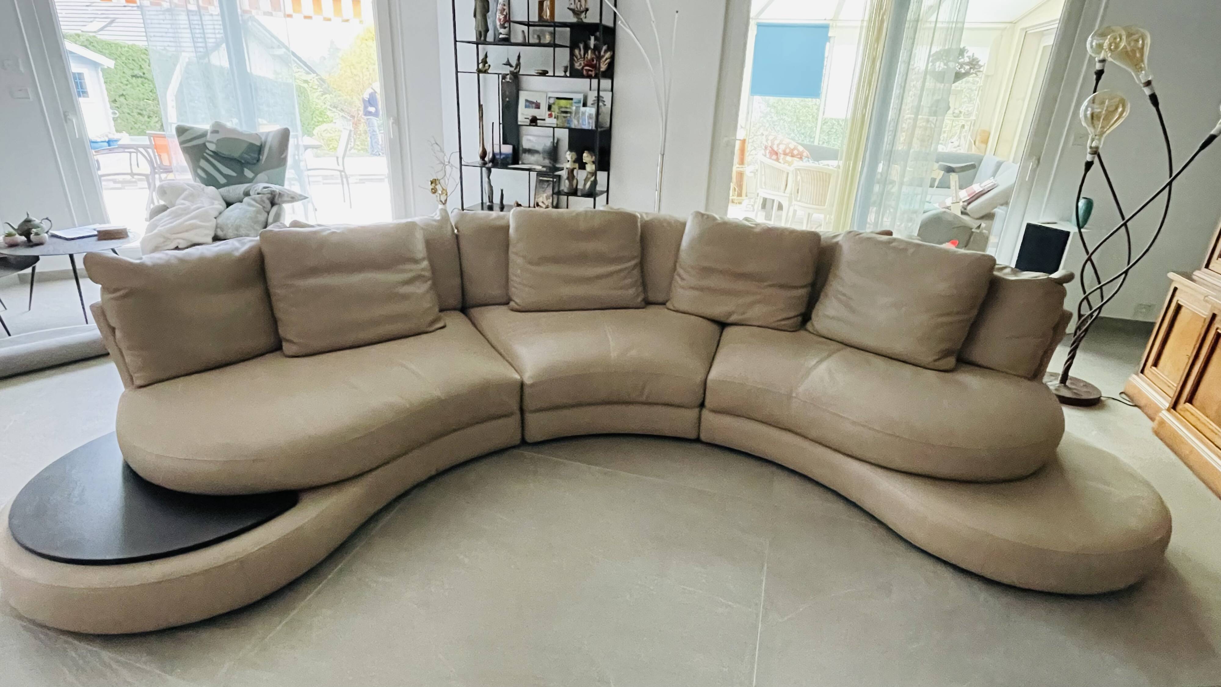 Roche Bobois sofa