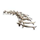 Porte-couteaux forme animaux divers