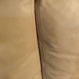 Roche Bobois sofa