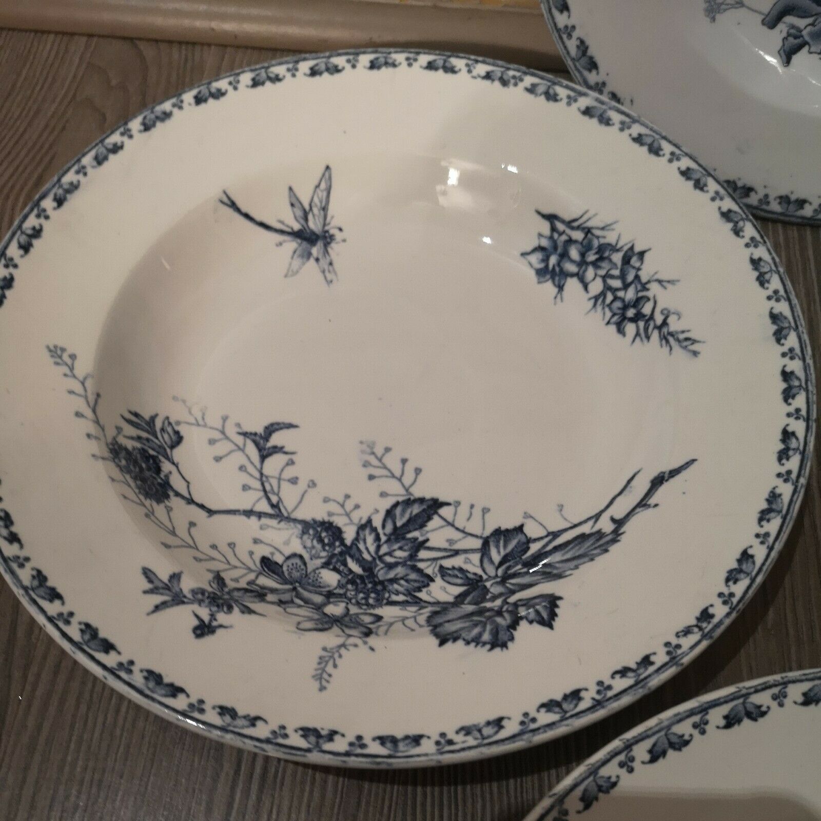Series of 6 hollow plates in Sarreguemines earthenware model Carmen