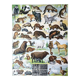 Old animal board
