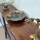 Vintage Polish bar cabinet in walnut veneer – 1960s