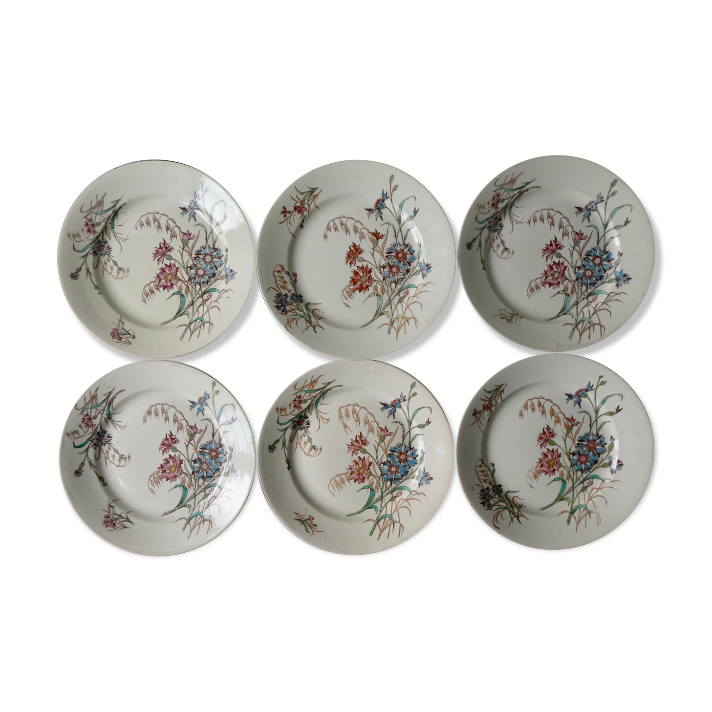 Set de 6 assiettes plates Luneville, décor bleuet, 1900
