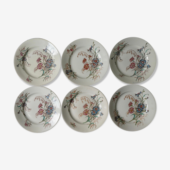 Set de 6 assiettes plates Luneville, décor bleuet, 1900