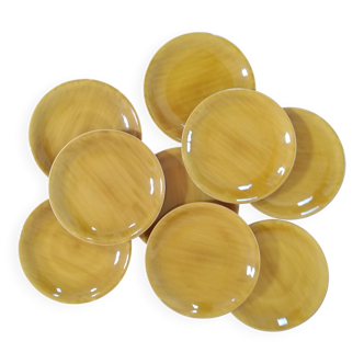 Set of 9 Salins plates, Provence model, 1970s