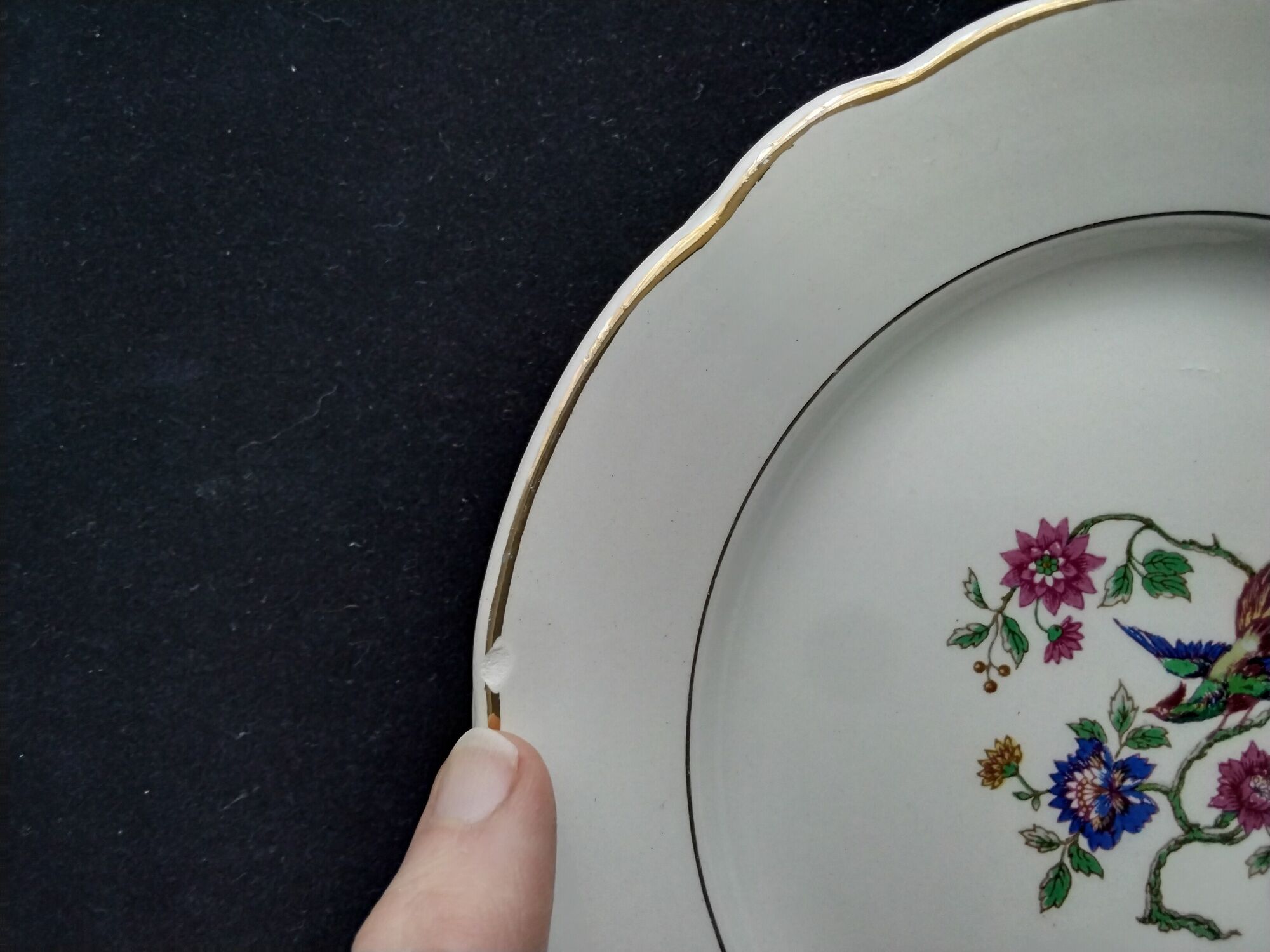 Set of 6 faience dessert plates digoin sarreguemines bird of paradise