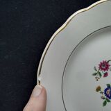 Set of 6 faience dessert plates digoin sarreguemines bird of paradise