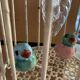 Bird cage lamp in vintage ceramics 50 years