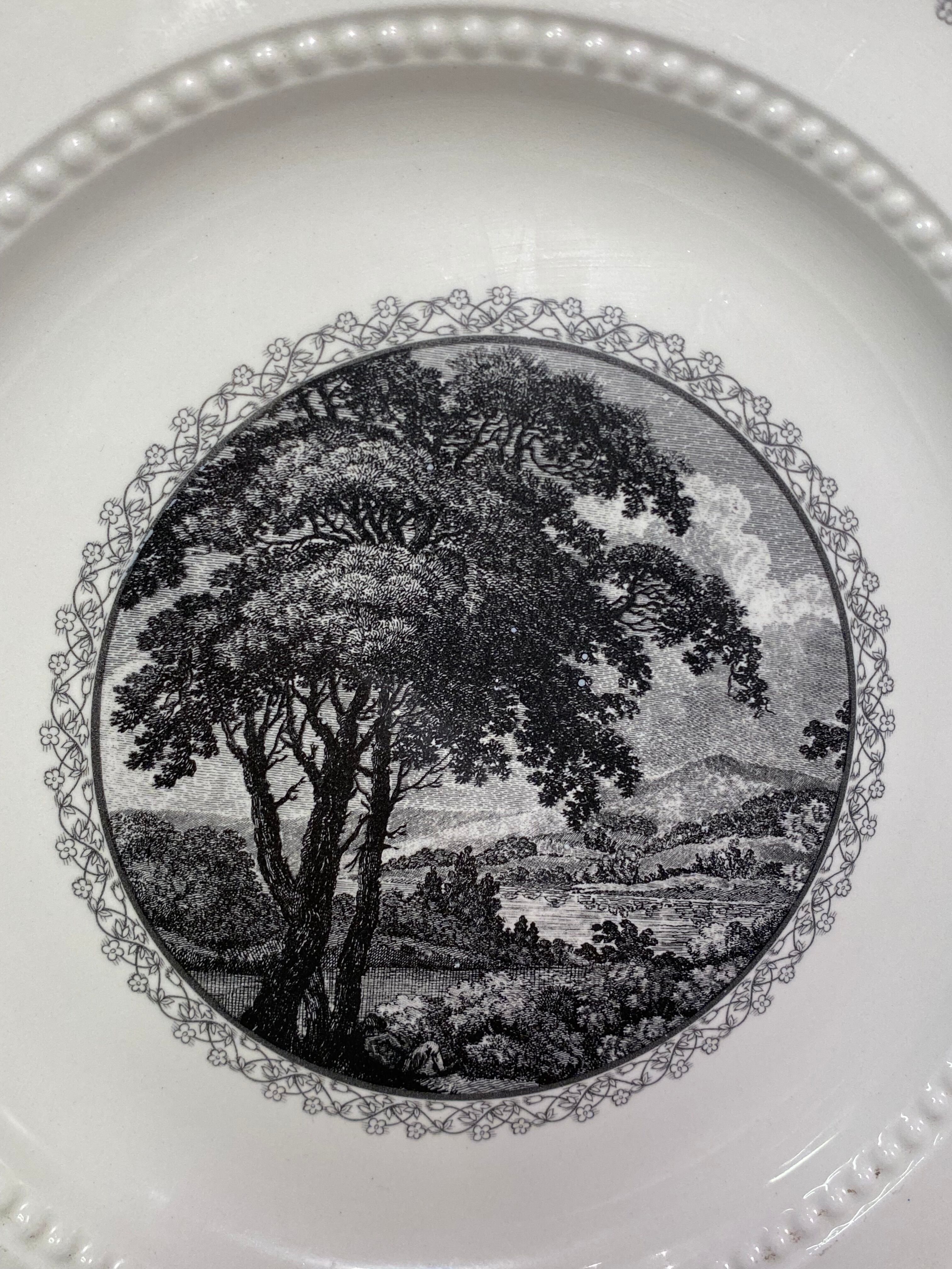 Suite of 5 large English ceramic plates Royal Cauldon Bristol Ironstone "Scenario"