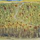 Thierry Deroyant (born in 1955) - Oil on canvas - "The countryside" - Signed