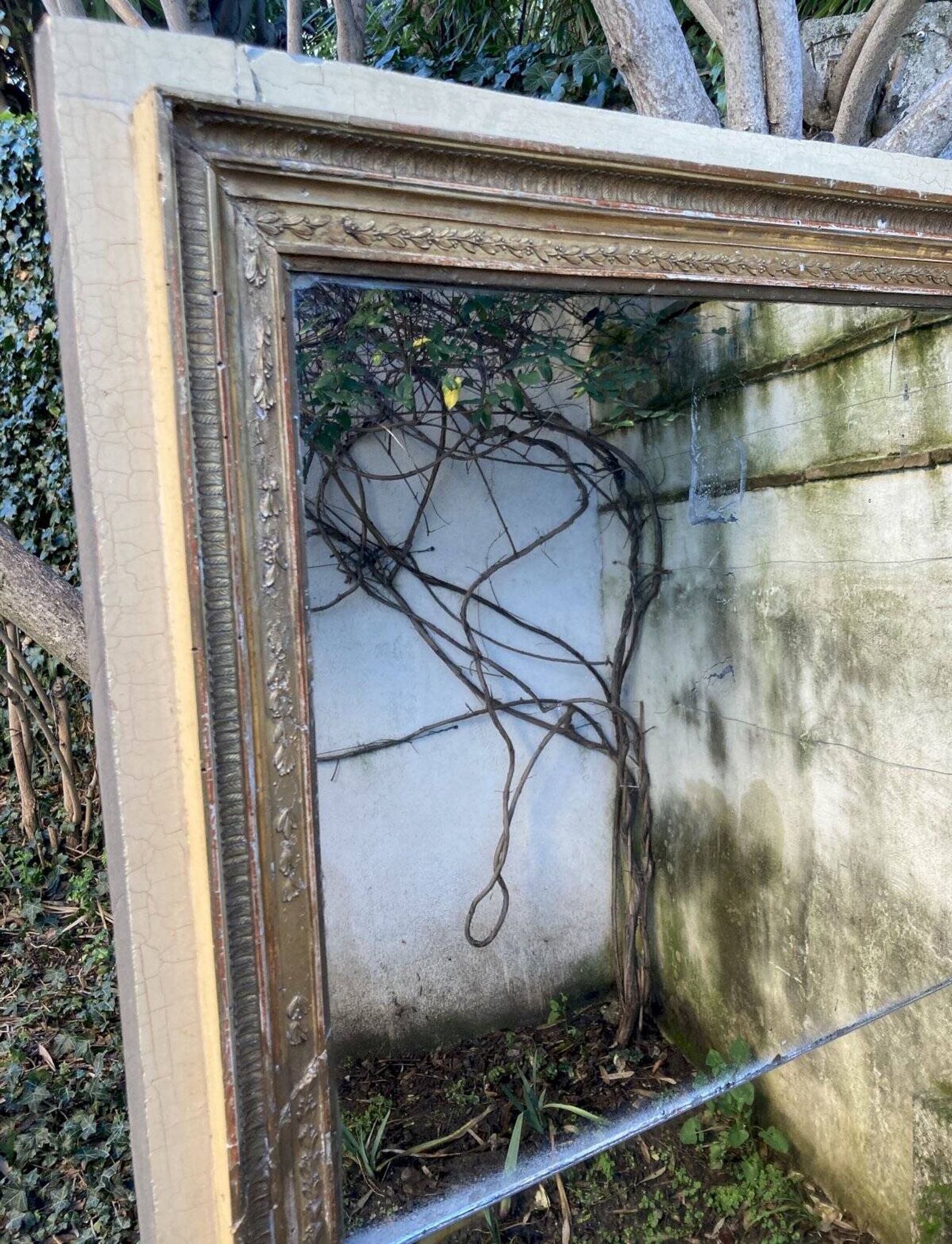 Antique overmantel mirror - decoration of palmettes and water leaves