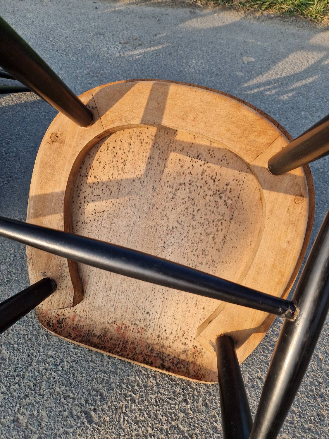 Set of 6 Fannett Scandinavian chairs by Ilmari Tapiovaara 1960.