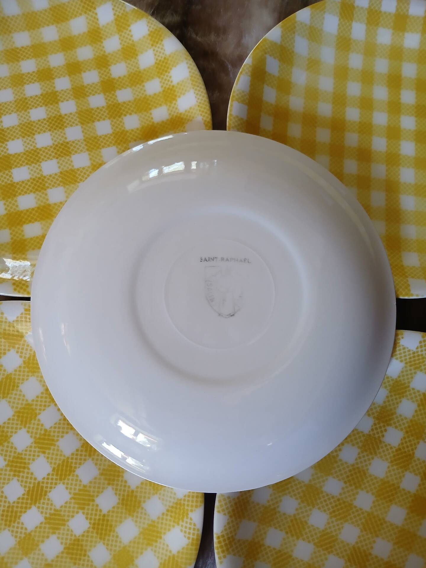 6 assiettes plates anciennes Salins 