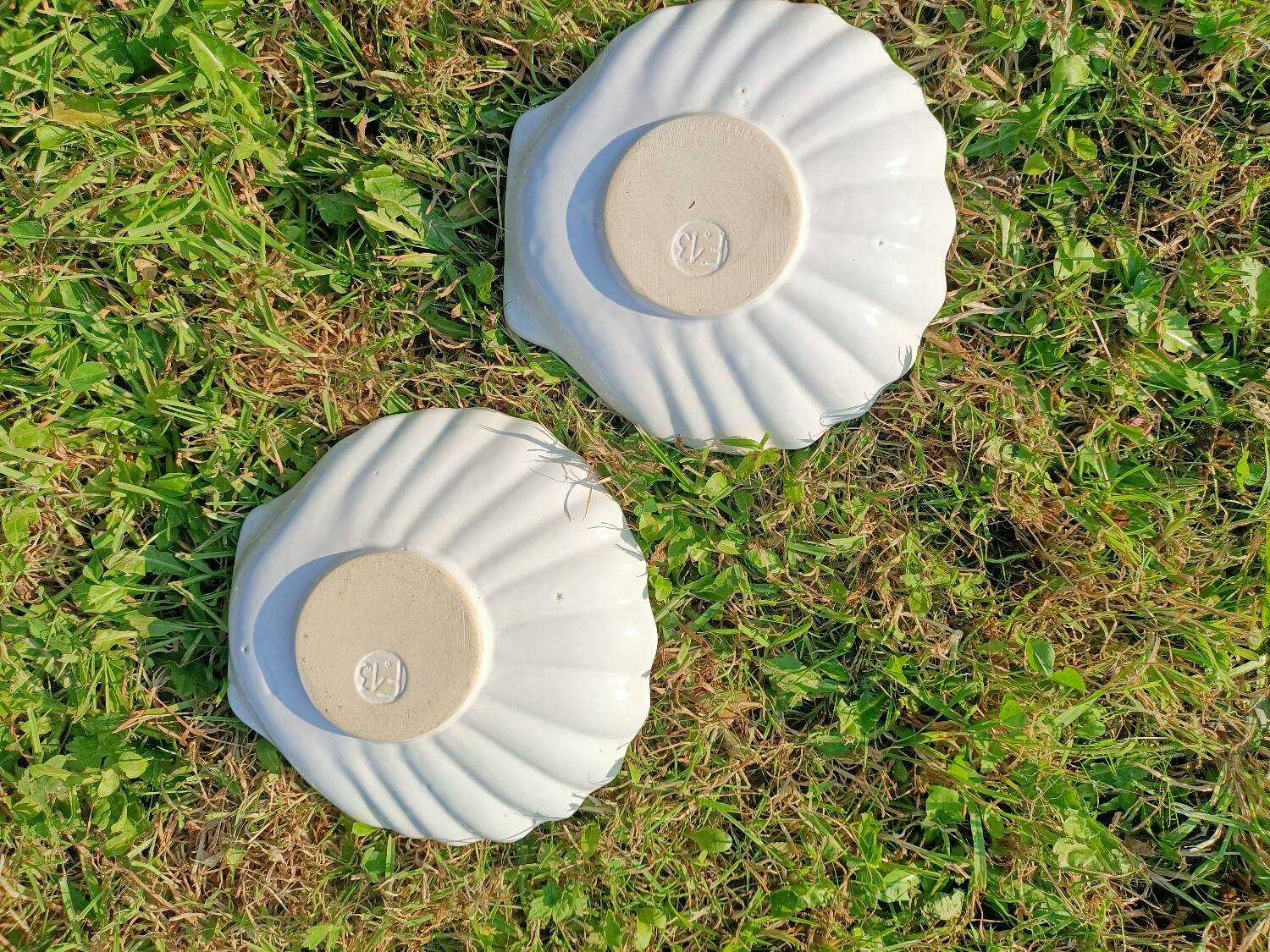 Scallop Shell Soap Dish