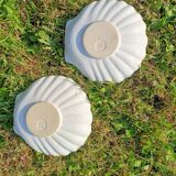 Scallop Shell Soap Dish