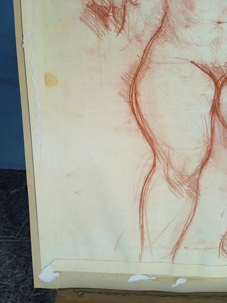 Drawing sanguine study nude female 67/50cm 1950