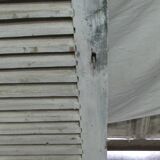 Old shutter in percian wood