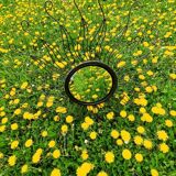 Large Sun Mirror decor